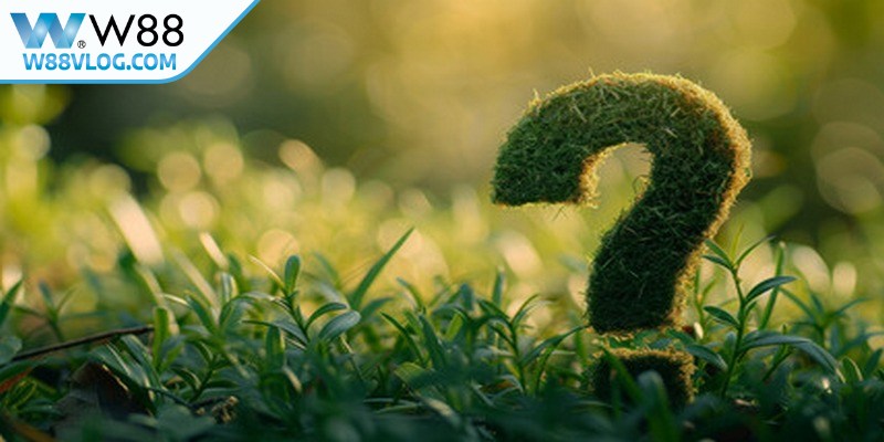 Câu hỏi thường gặp về chính sách bảo mật W88